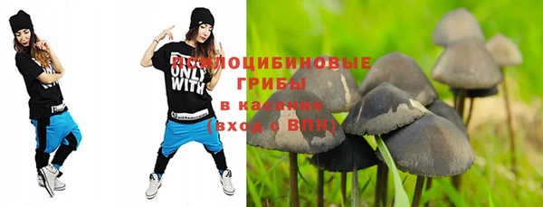 твердый Арсеньев