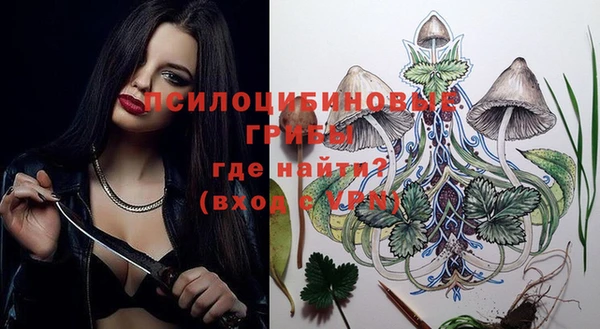 твердый Арсеньев