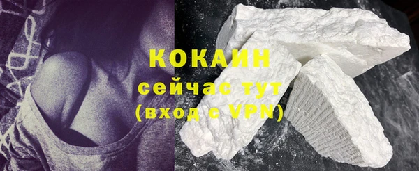 молекула духа Няндома