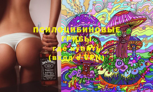 твердый Арсеньев