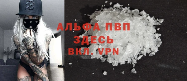 твердый Арсеньев
