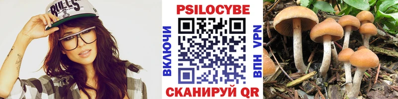 Псилоцибиновые грибы Psilocybe  наркошоп  Похвистнево 