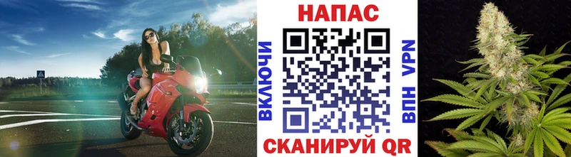 купить закладку  блэк спрут онион  Бошки марихуана индика  Похвистнево 